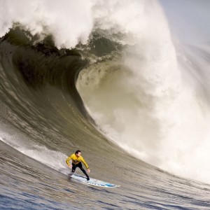 爱游戏体育官方入口-英超联赛“新老交替”，年轻球员逐渐崭露头角，英超新人