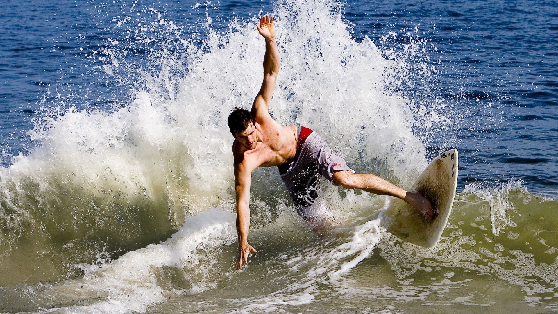 _猛龙突如其来，逆转战术卓越_，猛龙反击